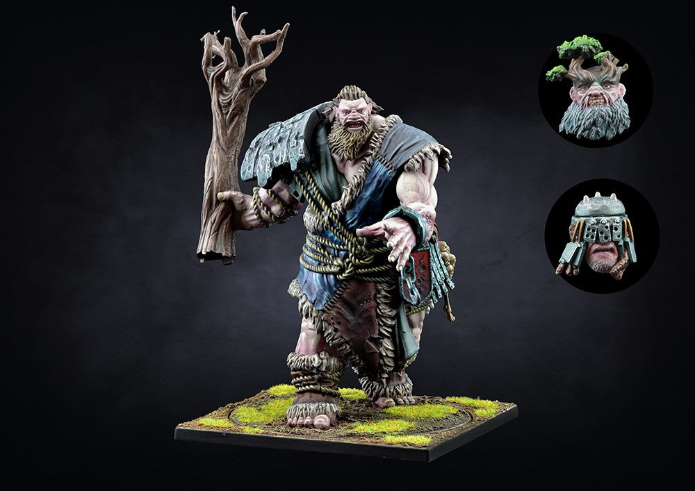 Conquest - Two Player Starter Set Nords VS City States