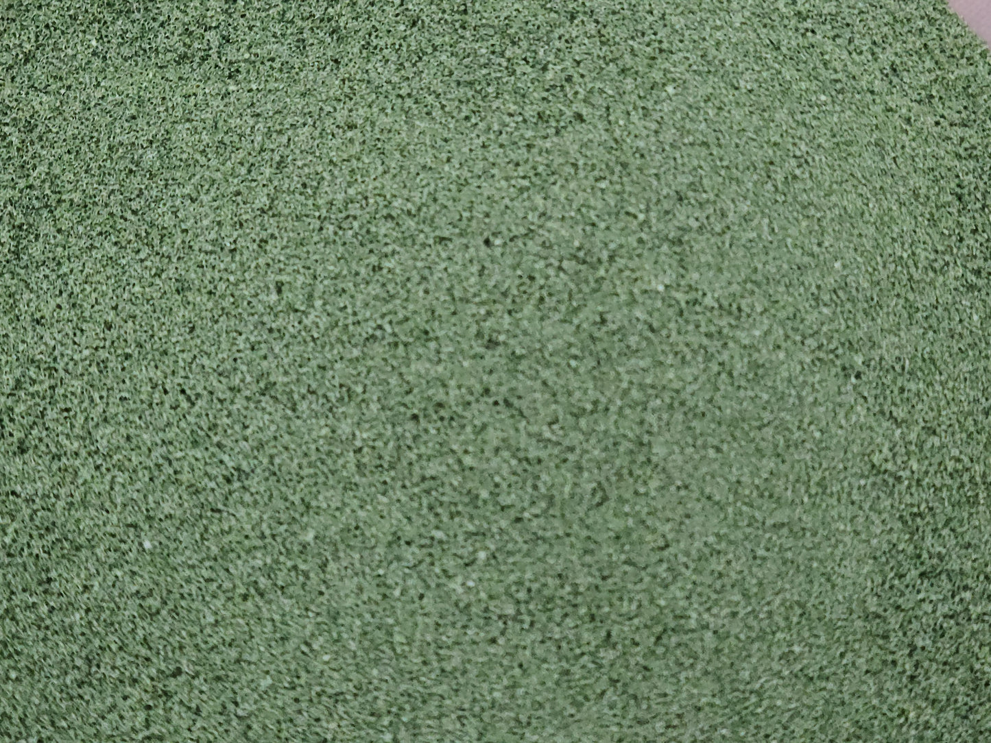 Fine Turf Fine Weeds