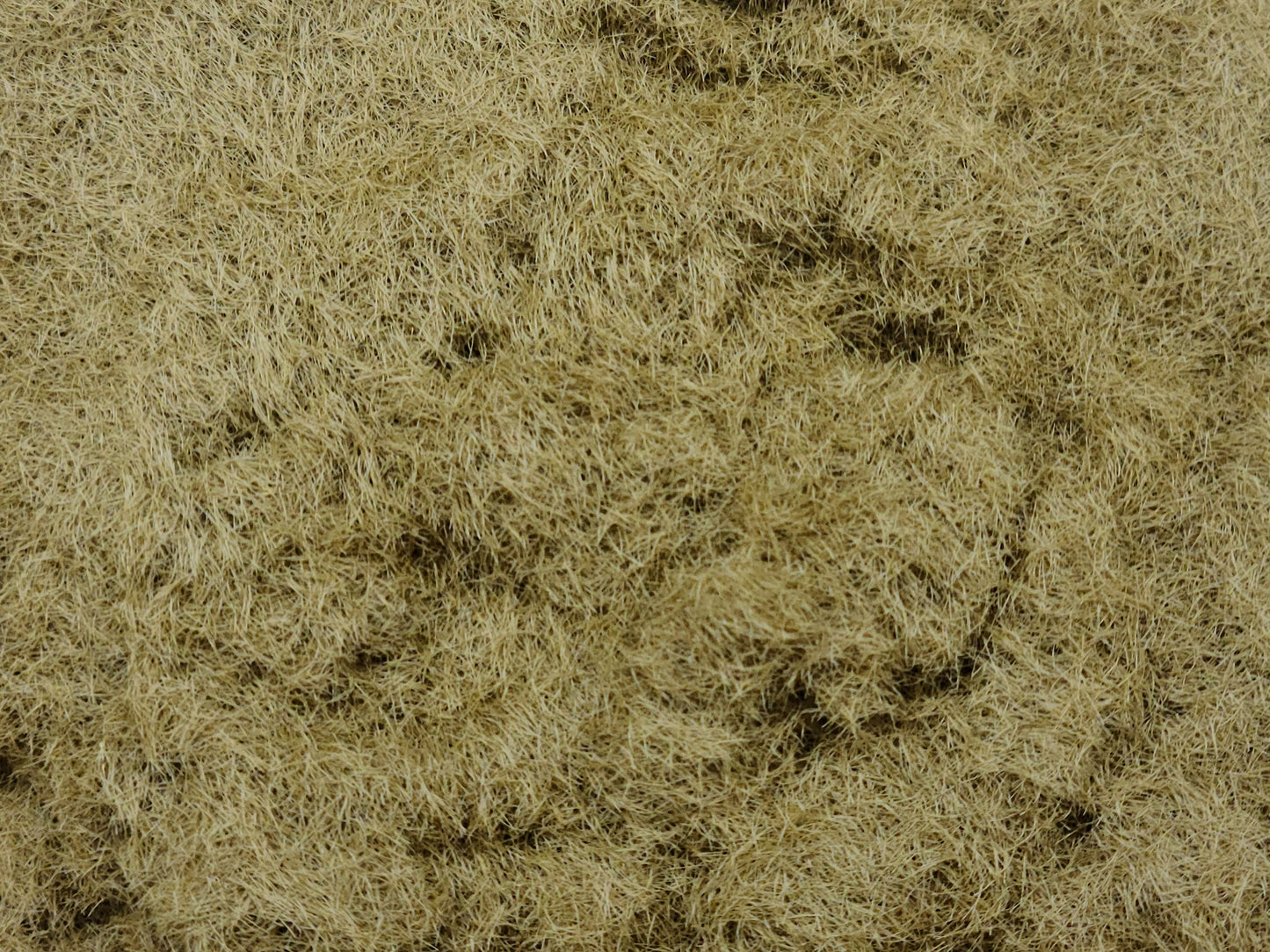 Turf Harvest Gold