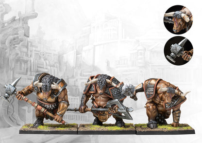 Conquest - Two Player Starter Set Nords VS City States