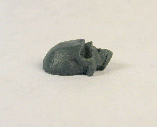 Mounting Skulls 1, Large (8)